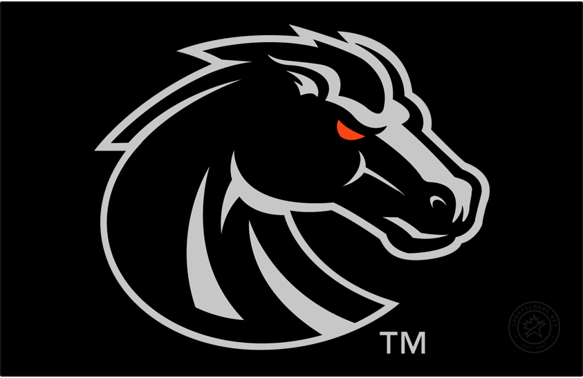 Boise State Broncos 2013-Pres Secondary Logo v3 diy iron on heat transfer